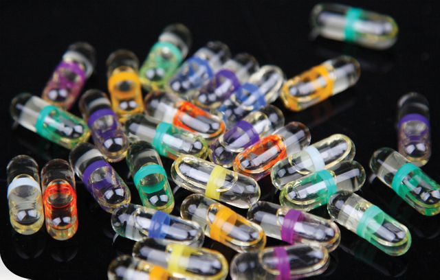 NJYF-300C In-Cap 0 Oil Capsule Filling Machine